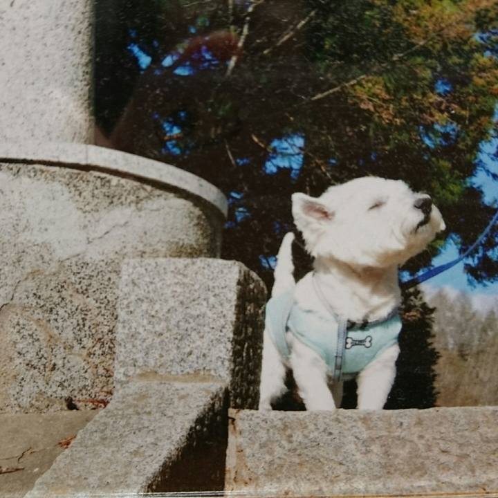 1eb94d05 cc36 4101 b9e6 b53c1bccb86d