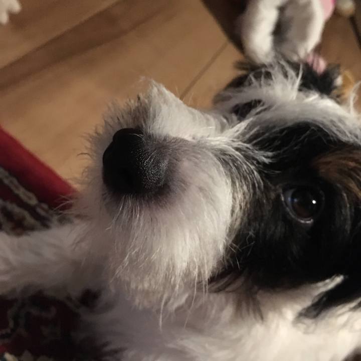 1eb954f5 8412 4969 a405 22c31d93b20a