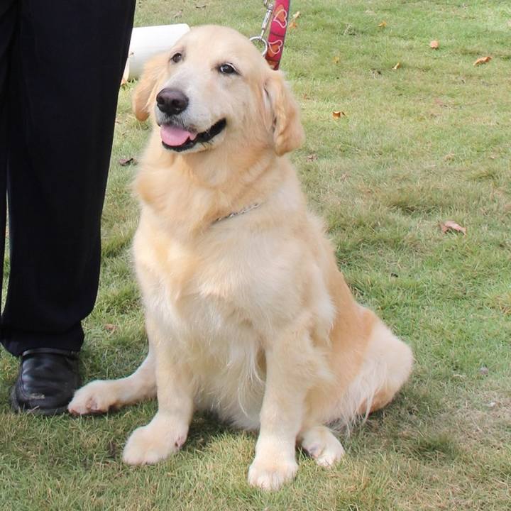 1eb99e1b ddc7 466b aa69 141f90a601b9