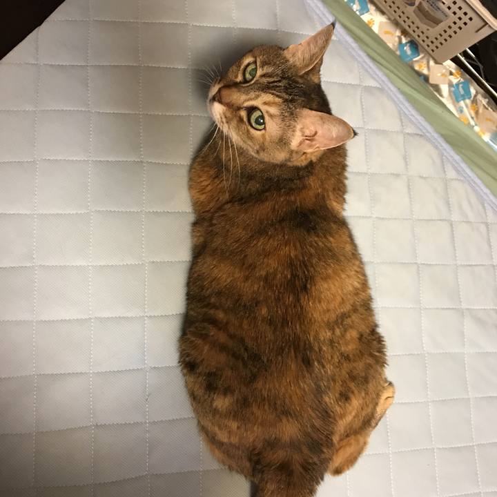 1eb9ba2f 37db 4bbf 8604 049c25afd621