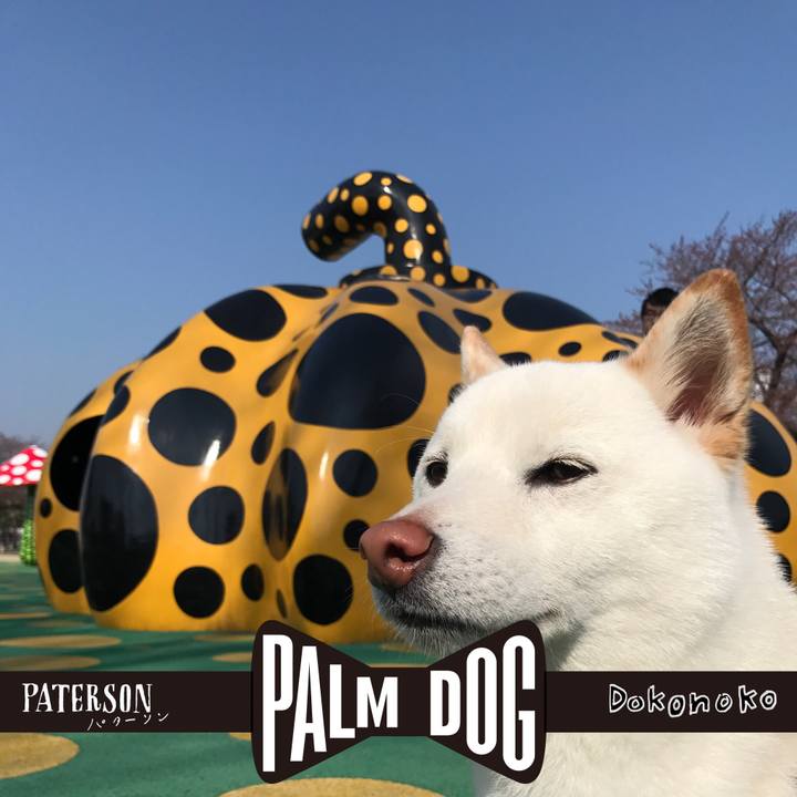 1ebacdd6 02de 4ac5 bc06 91dd22a738b5