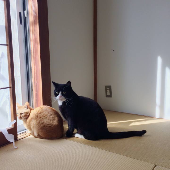 1ebb1395 7cbd 4bbb 913b 1692e39de197