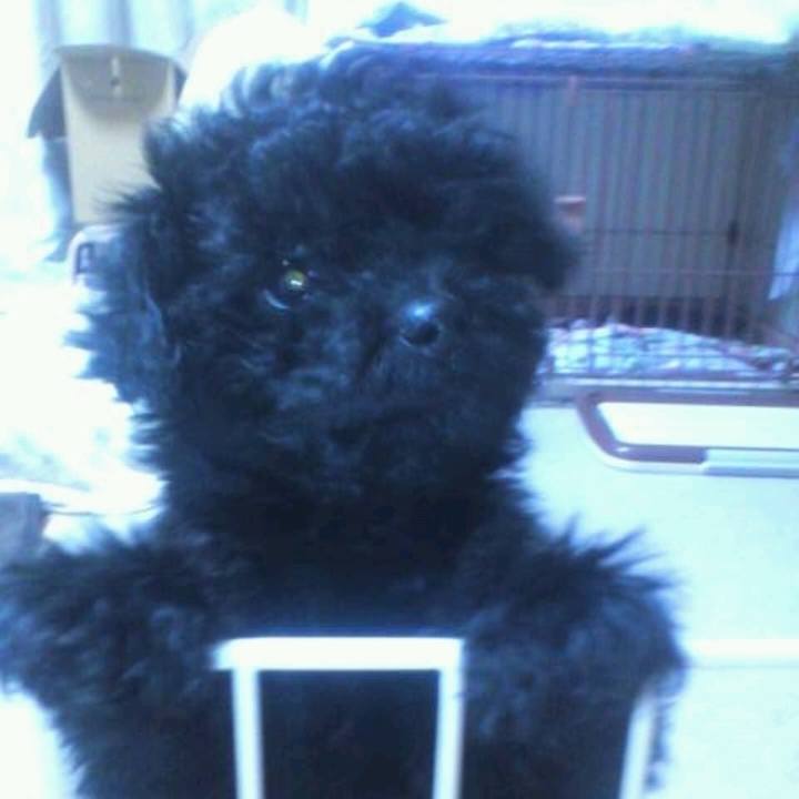 1ebb86dd 6aca 4962 8e8c 7ece85ca7dd1