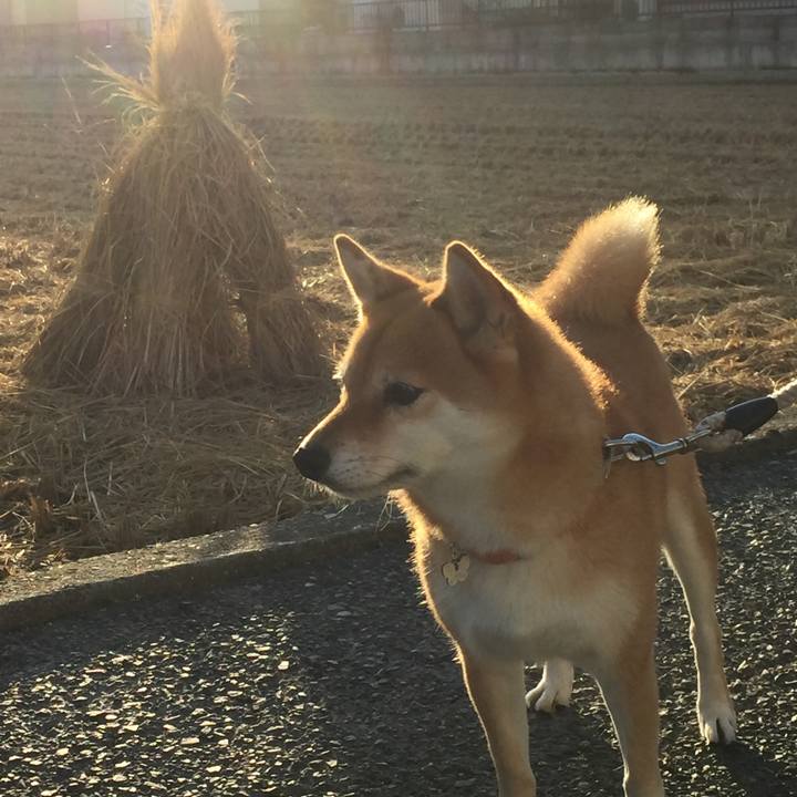 1ebba413 6a3d 4bfe 8a34 b92bdbf2590c