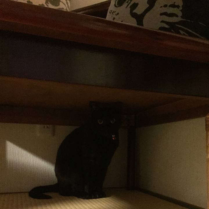 1ebbb25e 49e8 4a45 8b4e e5f24605b426