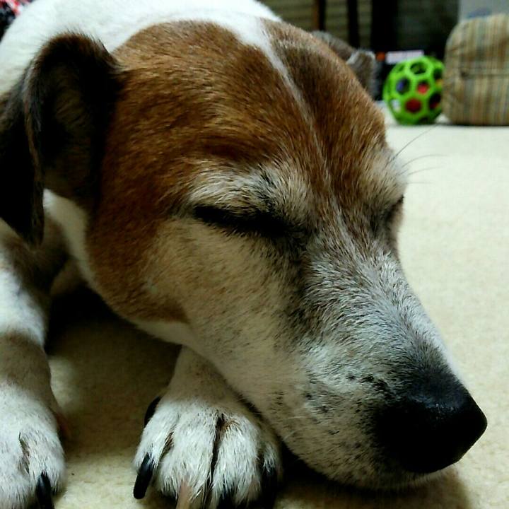 1ebbf8e8 a17a 47d5 bf83 d42b983cbc52