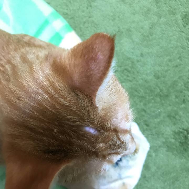 1ebc51dc c3d9 4e09 8136 68d2343cde8e