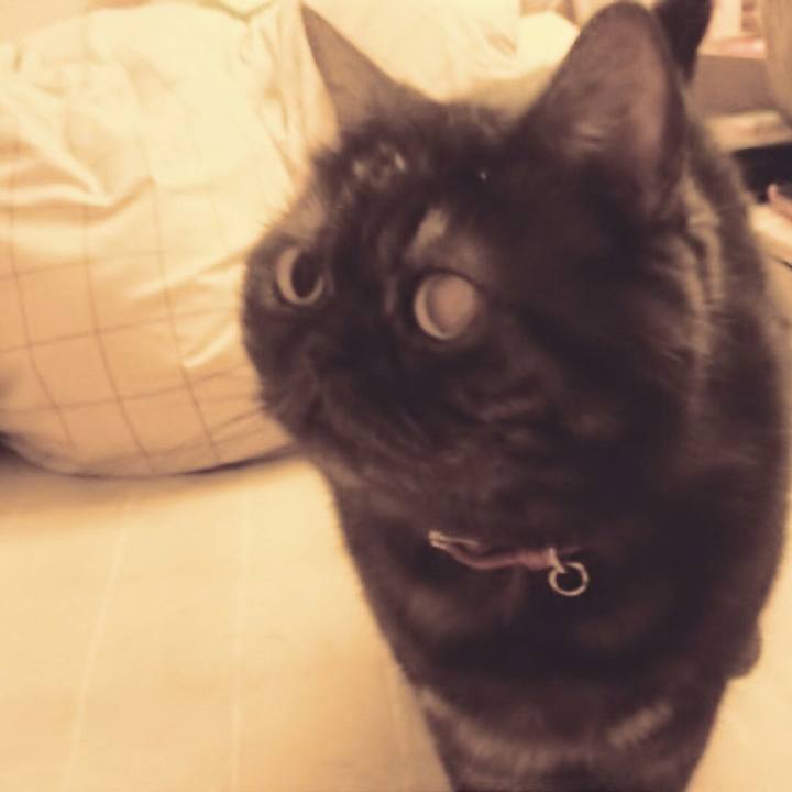 1ebce7ae f91d 4759 82ba 25b2a5ffcfe6