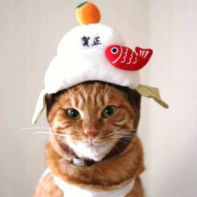 1ebd5ba8 7736 4bde af87 1ab29315839d