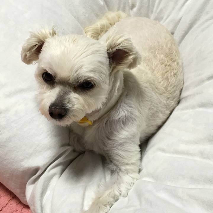 1ebe0a01 d9a1 4d4a b2f1 c04021ed797a