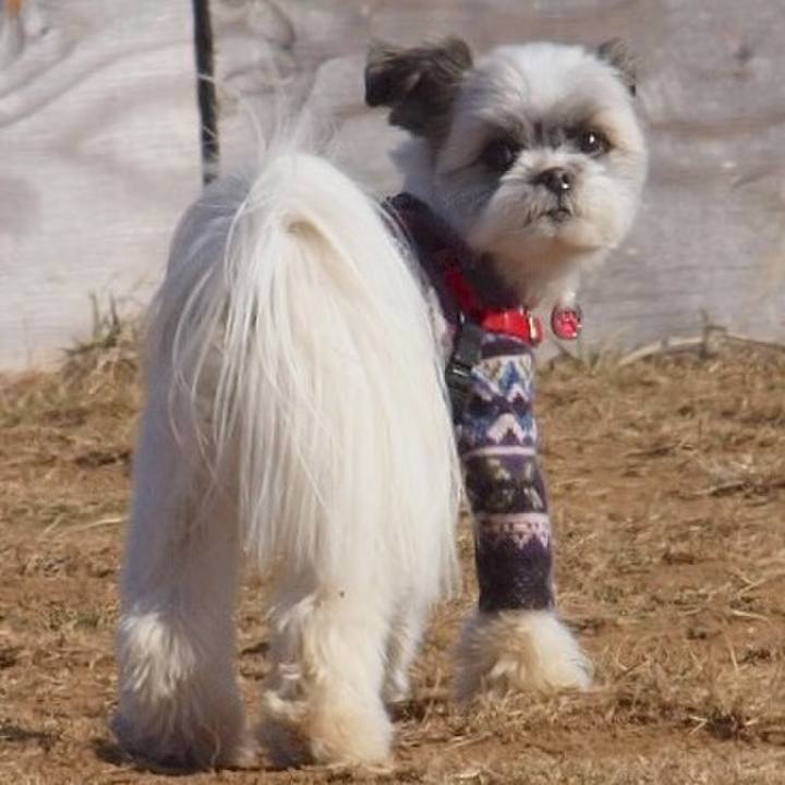 1ebe16b0 e5b9 4420 8a66 c70f082eac75