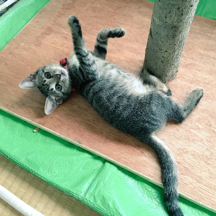 1ebe2404 89fd 454b 8645 e659216f3520