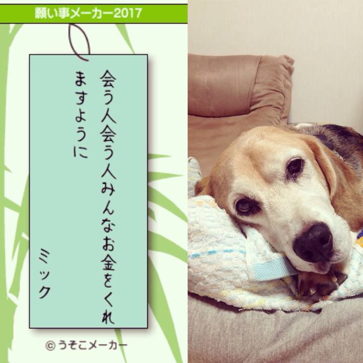 1ebe8a24 7d03 483a aef8 a0a480df1578