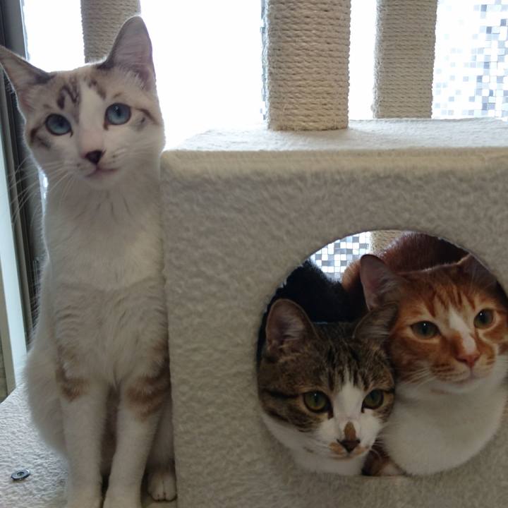 1ebfb1da a070 4ec5 a84d 762fb4fc08a1