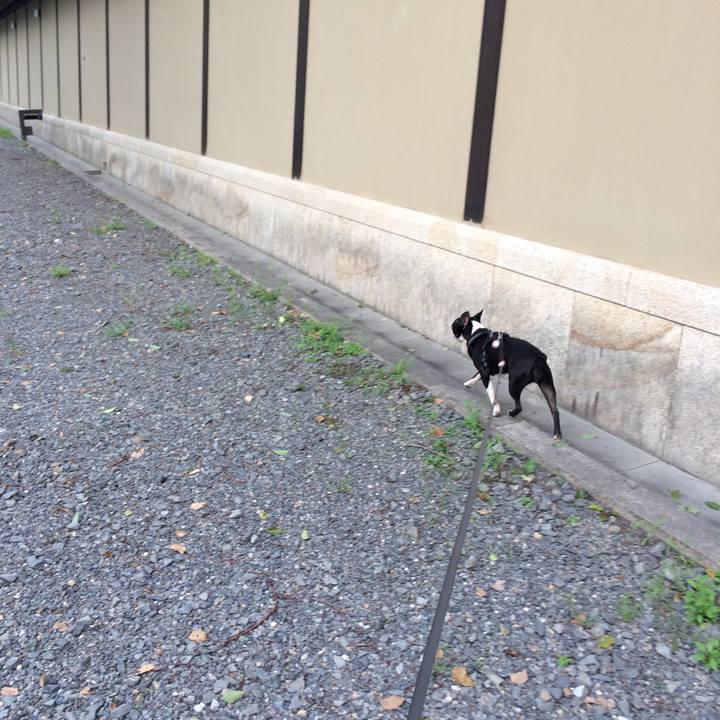 1ec0a7a8 e7b0 4f05 8fd6 814bb879158e