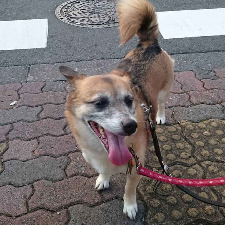 1ec0cdec 4417 4dfc 9752 c2f3a43f84f4