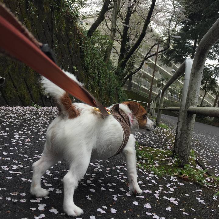 1ec13bf3 6bd2 4584 80d4 6fe158eb996a