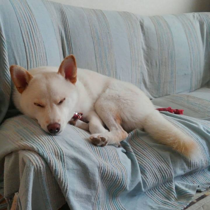 1ec144d6 952d 43a1 9a67 49a8f8715001