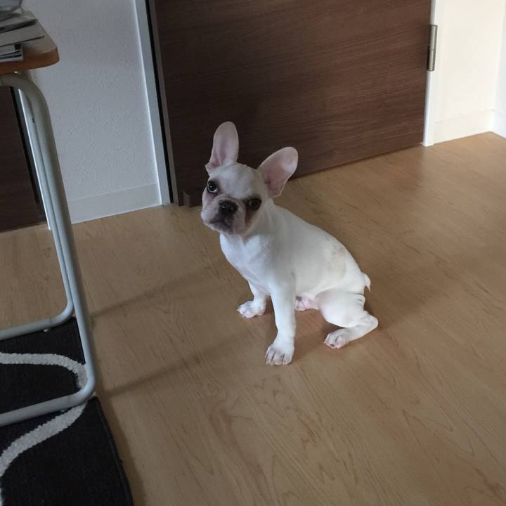 1ec176a6 8826 42ef 9678 bab486586632