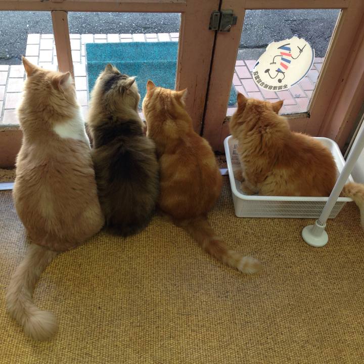 1ec1d764 d4da 4121 8bb0 3d1b0f6a992d