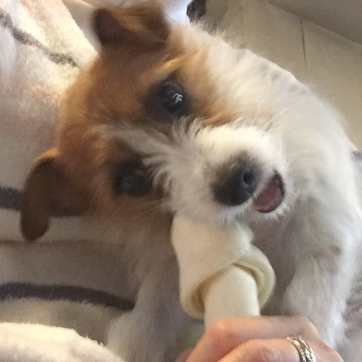 1ec1fdb2 b22f 420f 98fb f0e623af5302