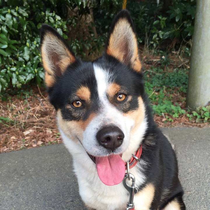 1ec28787 1e79 4423 9bf5 9b8fc285f9f1