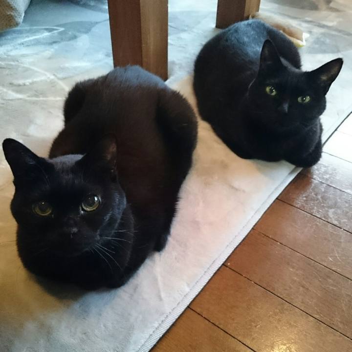 1ec332d4 fe0f 448e bb9e 7176df1e3c4d