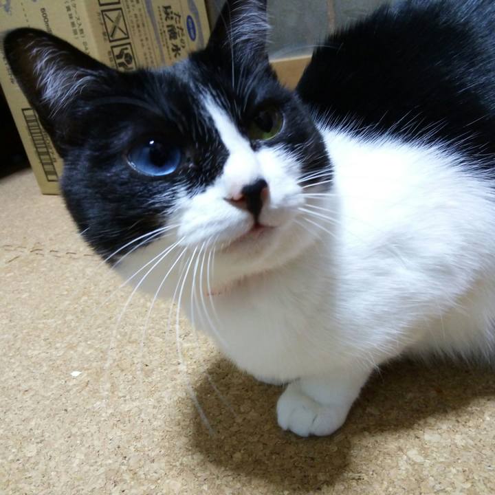 1ec34c81 a5bd 4bd8 a9a7 6e1b6ef0ddca