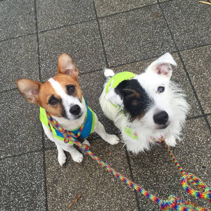 1ec36bbb e0b3 465c b6d3 ed7d3adc2826