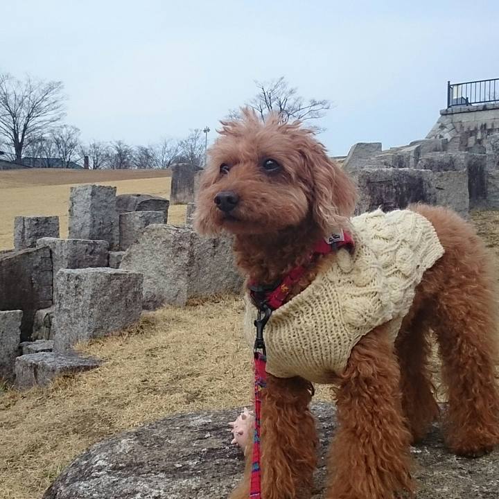 1ec37809 0e21 4a9e a8e1 95eb210700ed