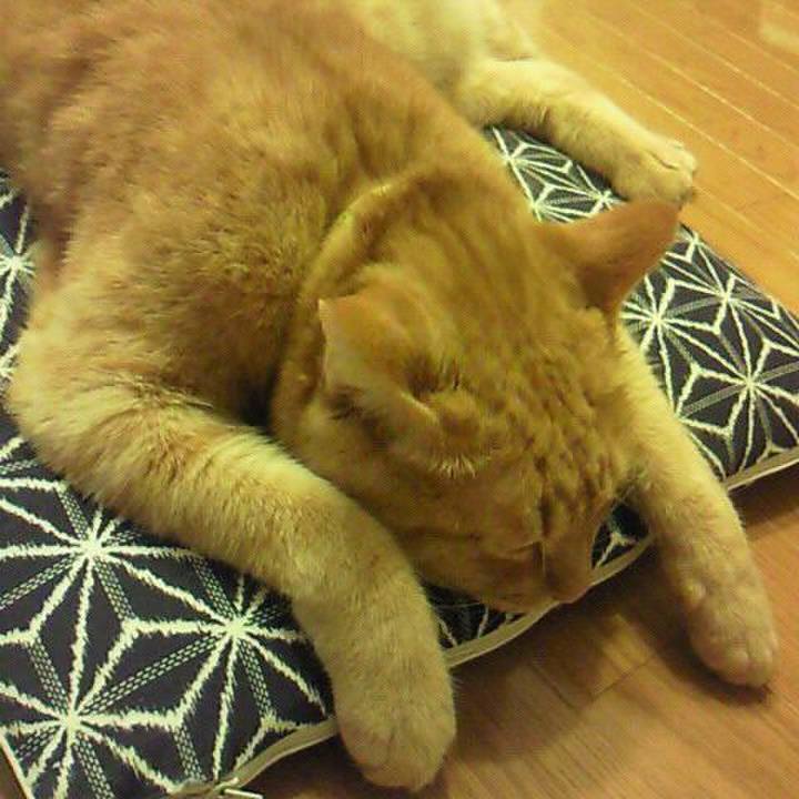 1ec3c1fa fa68 4a49 9ff3 af3d2195d1ef