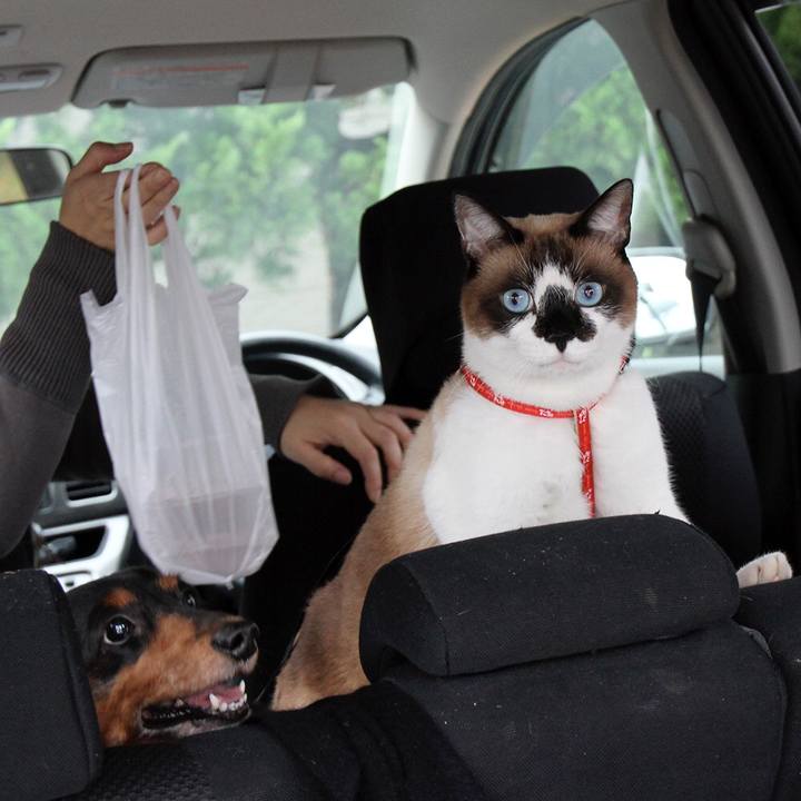 1ec52abf 9c34 4086 af1b fde7449feaeb