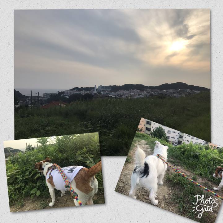 1ec562e4 9871 47c7 8bbd 2a4ae6d8da68