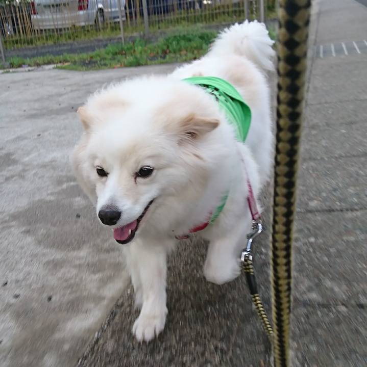 1ec56f5f cffb 4315 9f37 b2d9908fc4d6