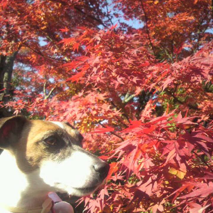 1ec5d72a 01ee 4afb 8067 ec95c3ee7621