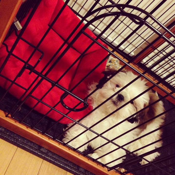 1ec603eb b10a 46a7 a3ee 2ae846f29d2f