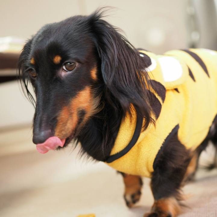 1ec61df4 8a58 4897 9569 2ebc7a2f2741