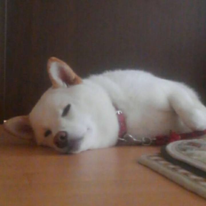 1ec67cf4 ae6e 4722 a805 42d508058639