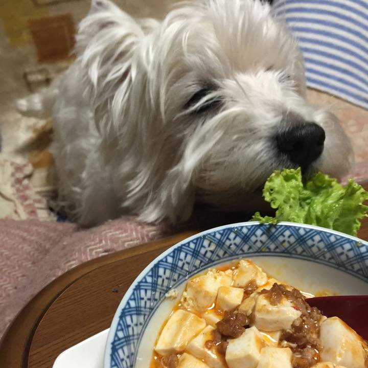 1ec69f68 9b67 45a3 92c0 8bab246a0ea3