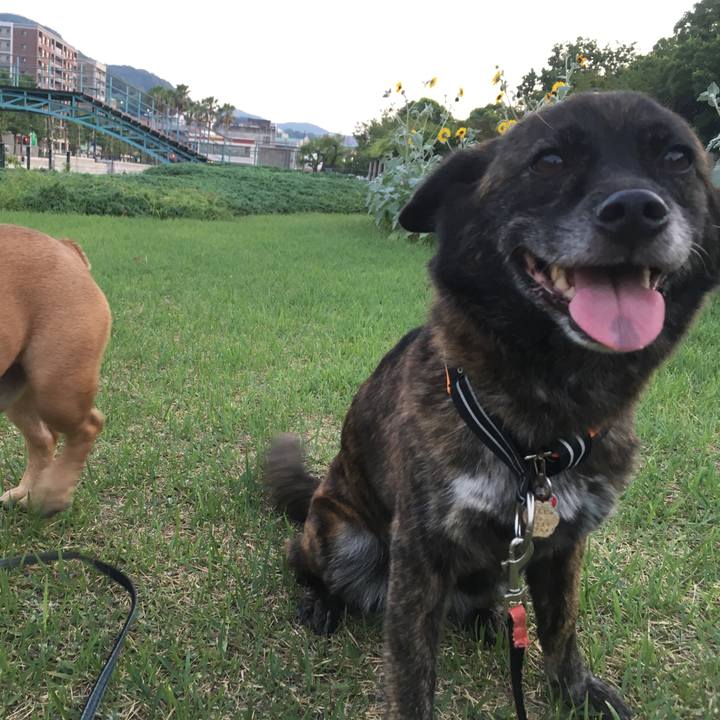 1ec6b1f7 6e1c 453a a78b cfcfe77f17df