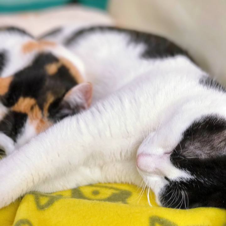 1ec731c2 91ae 4532 ac22 3433034c5a36