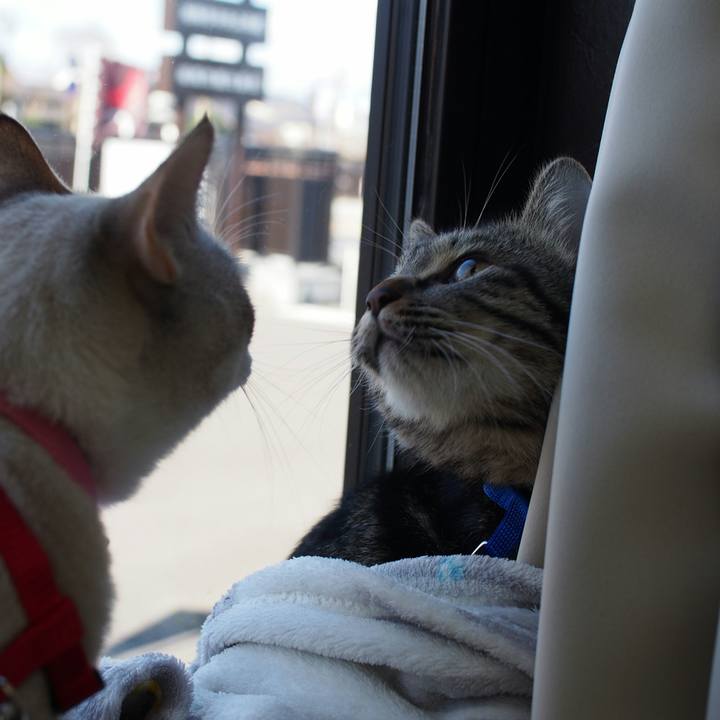 1ec76952 f11e 4044 b6d1 7b72675551bc