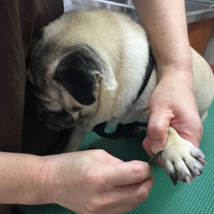 1ec846fb b801 41e6 a509 9ef91f85c068