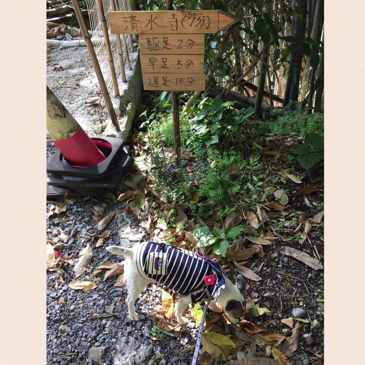 1ec8958f 9595 4c6b aafd c0542e5f84d3