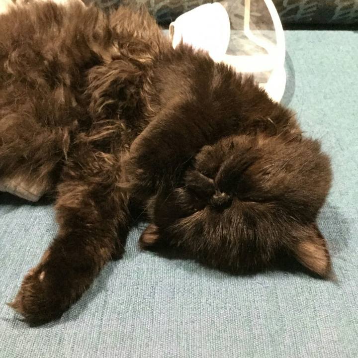 1ec8b837 07c0 4b81 9622 926687349ff2