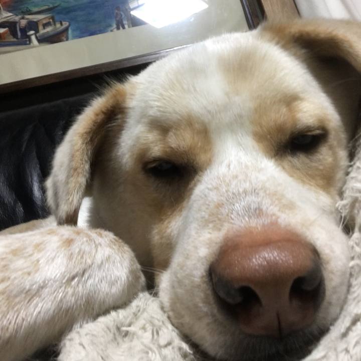 1ec968c6 572f 40d5 9618 3a3ff4ffe078