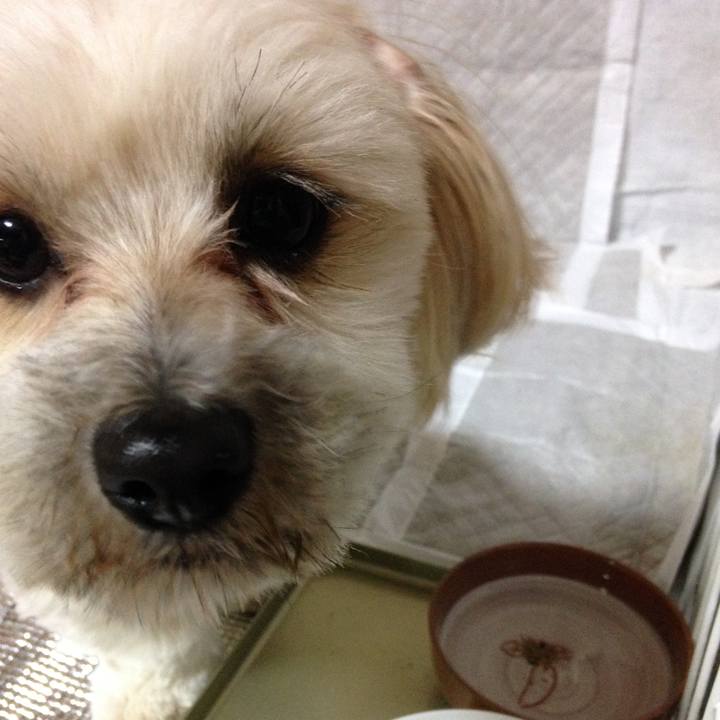 1ec9c26a 5b80 47c4 bdf2 afc336084e58