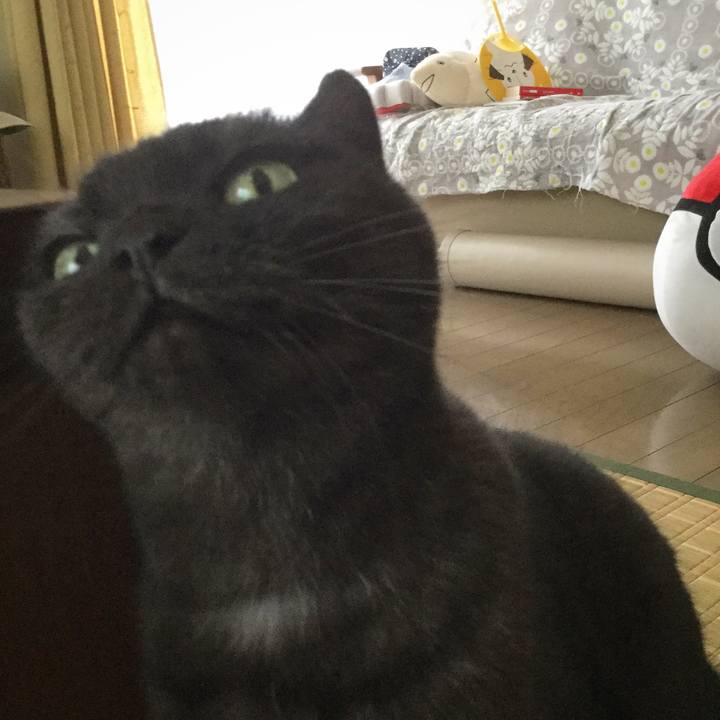 1ec9f53f d1d1 4b0f ba8f 888a343bce81