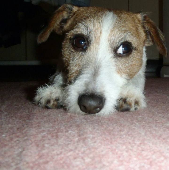 1eca3290 2ee5 4430 8668 791e2241b296