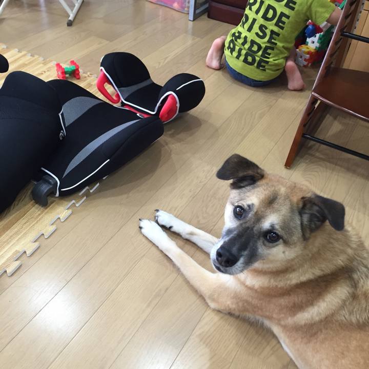 1eca583a aeac 41a8 84fc 753b8204478a